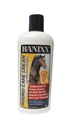 Banixx Wound Care Cream With Marine Collagen Veterinary Supplies Ointments & Creams - 8 Oz
