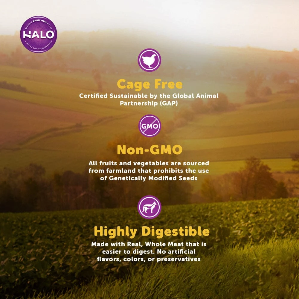 Halo Adult Holistic Chicken & Chicken Liver Recipe Dry Cat Food 9 Halo Adult Holistic Chicken & Chicken Liver Recipe Dry Cat Food - Image 7