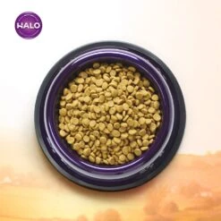 Halo Adult Holistic Chicken & Chicken Liver Recipe Dry Cat Food 14 Halo Adult Holistic Chicken & Chicken Liver Recipe Dry Cat Food -Weruva Shop halo adult holistic chicken chicken liver recipe dry cat food 911779