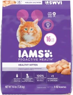 Iams ProActive Health Healthy Kitten Dry Cat Food - 16 Lb Bag