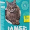 Iams ProActive Health Indoor Weight Hairball Dry Cat Food - 7 Lb Bag 2 Iams ProActive Health Indoor Weight Hairball Dry Cat Food - 7 Lb Bag -Weruva Shop iams proactive health indoor weight hairball 4 per bale dry cat food 7 lb bag 719914