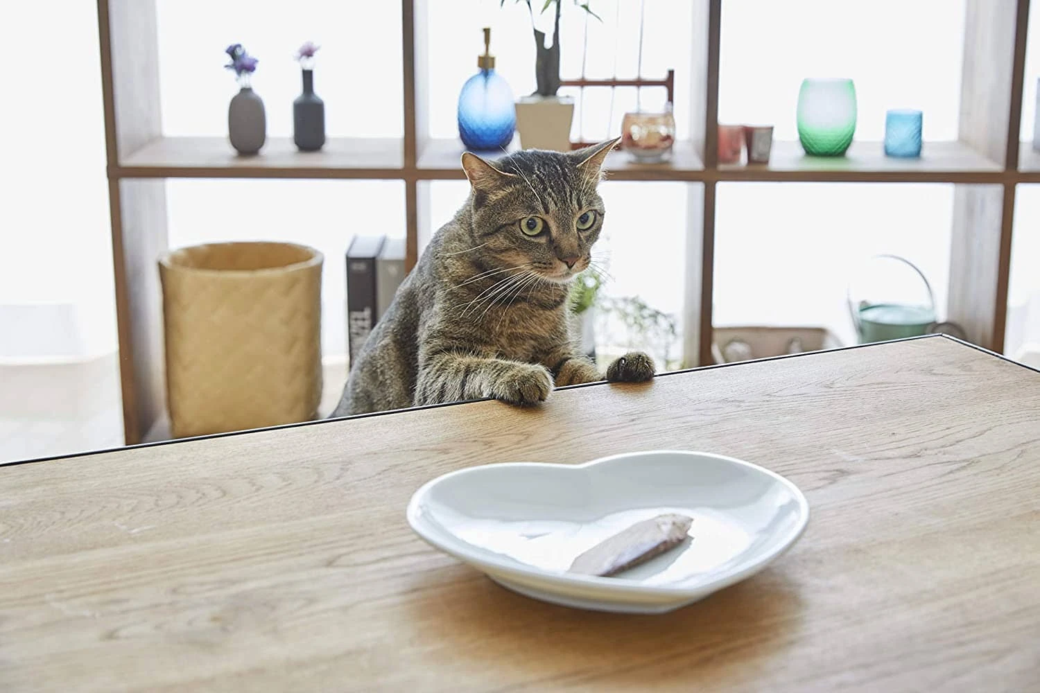 Inaba Chicken Fillet Grilled With Flavored Broth Cat Treats - Crab - .9 Oz - 6 Pack 4 Inaba Chicken Fillet Grilled With Flavored Broth Cat Treats - Crab - .9 Oz - 6 Pack - Image 2