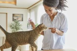 Inaba Chicken Fillet Grilled Xtend With Flavor Broth Cat Treats - Crab - .9 Oz - 6 Pack -Weruva Shop inaba chicken fillet grilled xtend with flavor broth cat treats crab 9 oz 6 pack 277049