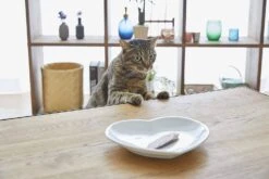 Inaba Tuna Fillet Grilled With Flavored Broth Cat Treats - Crab - .52 Oz - 6 Pack