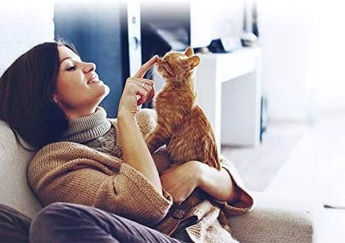 Inaba Twin Packs In Flavored Broth Cat Treats - Tuna Chicken And Scallop - 1.4 Oz - 2 Pack - 6 Pack 9 Inaba Twin Packs In Flavored Broth Cat Treats - Tuna Chicken And Scallop - 1.4 Oz - 2 Pack - 6 Pack - Image 7