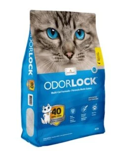 Intersand Classic Premium Clumping Odor Lock Cat Litter - Baby Powder #25