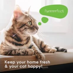 Litter Genie Litter Genie Plus Refill Cat Litter Disposal System - Black - 4 Pack 20 Litter Genie Litter Genie Plus Refill Cat Litter Disposal System - Black - 4 Pack -Weruva Shop litter genie litter genie plus refill cat litter disposal system black 4 pack 607562