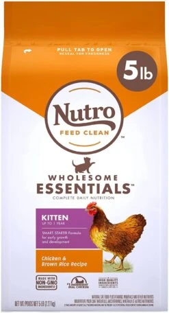 Nutro Kitten Chicken & Rice Dry Cat Food - 5 Lb Bag