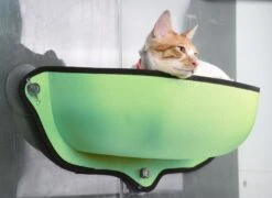 Pet Life ® 'Gravity-Lounge' Suction Cup Kitty Cat Lounger And Bed 12 Pet Life ® 'Gravity-Lounge' Suction Cup Kitty Cat Lounger And Bed -Weruva Shop pet life r gravity lounge suction cup kitty cat lounger and bed 388773