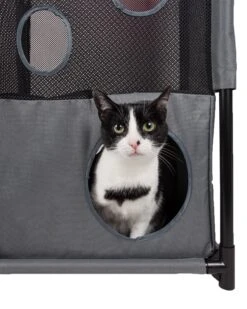 Pet Life ® 'Kitty-Square' Collapsible Travel Interactive Kitty Cat Tree Maze House Lounger Tunnel Lounge 17 Pet Life ® 'Kitty-Square' Collapsible Travel Interactive Kitty Cat Tree Maze House Lounger Tunnel Lounge -Weruva Shop pet life r kitty square collapsible travel interactive kitty cat tree maze house lounger tunnel lounge 175660