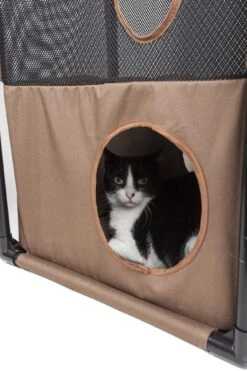Pet Life ® 'Kitty-Square' Collapsible Travel Interactive Kitty Cat Tree Maze House Lounger Tunnel Lounge 22 Pet Life ® 'Kitty-Square' Collapsible Travel Interactive Kitty Cat Tree Maze House Lounger Tunnel Lounge -Weruva Shop pet life r kitty square collapsible travel interactive kitty cat tree maze house lounger tunnel lounge 192355