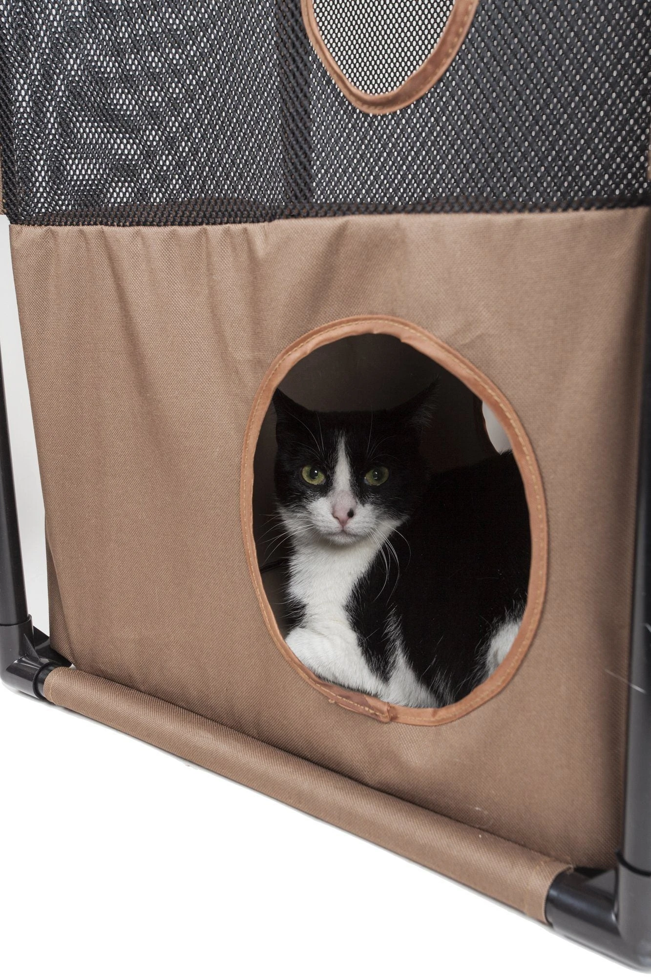 Pet Life ® 'Kitty-Square' Collapsible Travel Interactive Kitty Cat Tree Maze House Lounger Tunnel Lounge 12 Pet Life ® 'Kitty-Square' Collapsible Travel Interactive Kitty Cat Tree Maze House Lounger Tunnel Lounge - Image 10