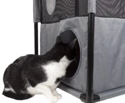 Pet Life ® 'Kitty-Square' Collapsible Travel Interactive Kitty Cat Tree Maze House Lounger Tunnel Lounge 19 Pet Life ® 'Kitty-Square' Collapsible Travel Interactive Kitty Cat Tree Maze House Lounger Tunnel Lounge -Weruva Shop pet life r kitty square collapsible travel interactive kitty cat tree maze house lounger tunnel lounge 325313