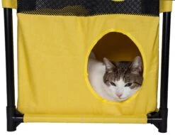Pet Life ® 'Kitty-Square' Collapsible Travel Interactive Kitty Cat Tree Maze House Lounger Tunnel Lounge 20 Pet Life ® 'Kitty-Square' Collapsible Travel Interactive Kitty Cat Tree Maze House Lounger Tunnel Lounge -Weruva Shop pet life r kitty square collapsible travel interactive kitty cat tree maze house lounger tunnel lounge 646484