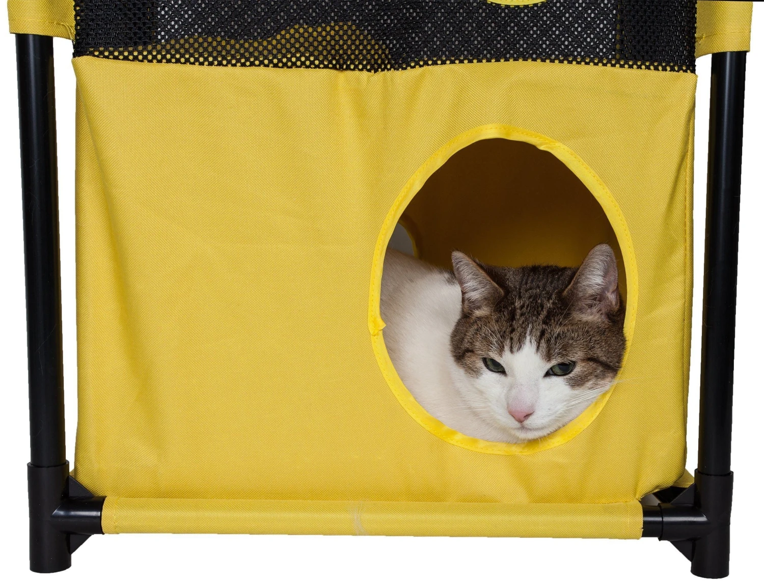 Pet Life ® 'Kitty-Square' Collapsible Travel Interactive Kitty Cat Tree Maze House Lounger Tunnel Lounge 10 Pet Life ® 'Kitty-Square' Collapsible Travel Interactive Kitty Cat Tree Maze House Lounger Tunnel Lounge - Image 8