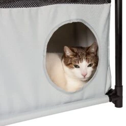 Pet Life ® 'Kitty-Square' Collapsible Travel Interactive Kitty Cat Tree Maze House Lounger Tunnel Lounge 21 Pet Life ® 'Kitty-Square' Collapsible Travel Interactive Kitty Cat Tree Maze House Lounger Tunnel Lounge -Weruva Shop pet life r kitty square collapsible travel interactive kitty cat tree maze house lounger tunnel lounge 915857