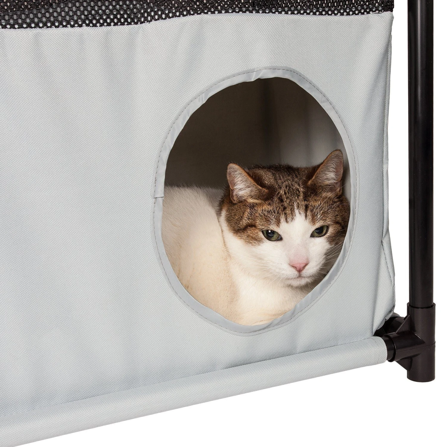 Pet Life ® 'Kitty-Square' Collapsible Travel Interactive Kitty Cat Tree Maze House Lounger Tunnel Lounge 11 Pet Life ® 'Kitty-Square' Collapsible Travel Interactive Kitty Cat Tree Maze House Lounger Tunnel Lounge - Image 9