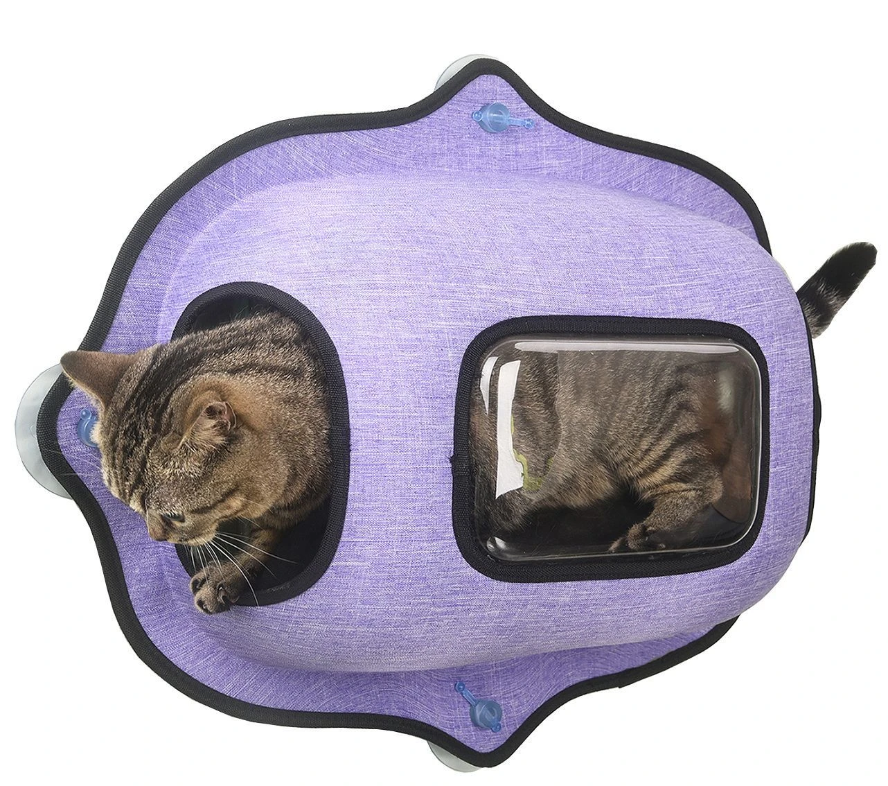 Pet Life ® 'Purr-view' See-through Suction Cup Kitty Cat Lounger And Bed 4 Pet Life ® 'Purr-view' See-through Suction Cup Kitty Cat Lounger And Bed - Image 2
