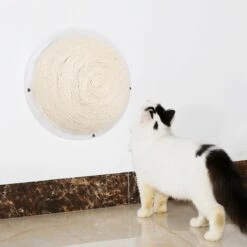 Pet Life ® 'Stick N' Claw' Sisal Rope And Toy Suction Cup Circular Cat Scratcher -Weruva Shop pet life r stick n claw sisal rope and toy suction cup circular cat scratcher 308129
