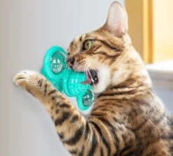 Pet Life ® 'Windmill' Rotating Suction Cup Spinning Cat Toy 40 Pet Life ® 'Windmill' Rotating Suction Cup Spinning Cat Toy -Weruva Shop pet life r windmill rotating suction cup spinning cat toy 115434