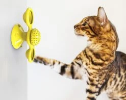 Pet Life ® 'Windmill' Rotating Suction Cup Spinning Cat Toy 26 Pet Life ® 'Windmill' Rotating Suction Cup Spinning Cat Toy -Weruva Shop pet life r windmill rotating suction cup spinning cat toy 207887