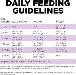 Petcurean GO! Carnivore Grain-Free Chicken, Turkey & Duck Cat Dry Cat Food - 3 Lb Bag -Weruva Shop petcurean go carnivore grain free chicken turkey duck cat dry cat food 3 lb bag 315539