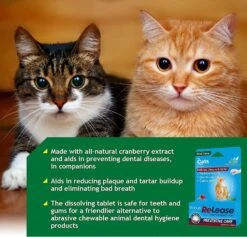Ramard Ramard Plaque Re-Lease Oral Care For Cats - 31 Count