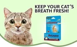 Ramard Ramard Plaque Re-Lease Oral Care For Cats - 31 Count 19 Ramard Ramard Plaque Re-Lease Oral Care For Cats - 31 Count -Weruva Shop ramard ramard plaque re lease oral care for cats 31 count 986114