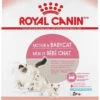 Royal Canin Mother And Babycat 34 Dry Cat Food 2 Royal Canin Mother And Babycat 34 Dry Cat Food -Weruva Shop royal canin mother and babycat 34 dry cat food 201873