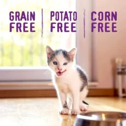 Stella & Chewy's Raw Coated Kitten Cage-Free Chicken Dry Cat Food - 2.5 Lbs -Weruva Shop stella chewys raw coated kitten cage free chicken dry cat food 25 lbs 414390