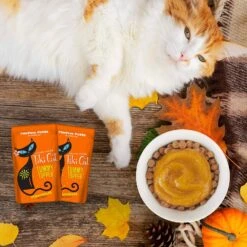 Tiki Cat Tummy Topper Pumpkin & Wheatgrass Cat Food Toppers - 1.5 Oz Pouch - Pack Of 12 -Weruva Shop tiki cat tummy topper pumpkin wheatgrass cat food toppers 15 oz pouch pack of 12 329968