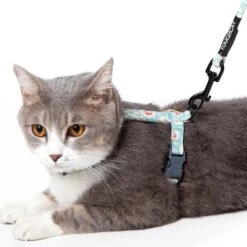 Touchcat 'Radi-Claw' Durable Cable Cat Harness And Leash Combo -Weruva Shop touchcat radi claw durable cable cat harness and leash combo 619110