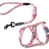 Touchcat 'Radi-Claw' Durable Cable Cat Harness And Leash Combo