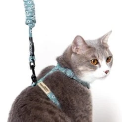 Touchcat 'Radi-Claw' Durable Cable Cat Harness And Leash Combo -Weruva Shop touchcat radi claw durable cable cat harness and leash combo 894536