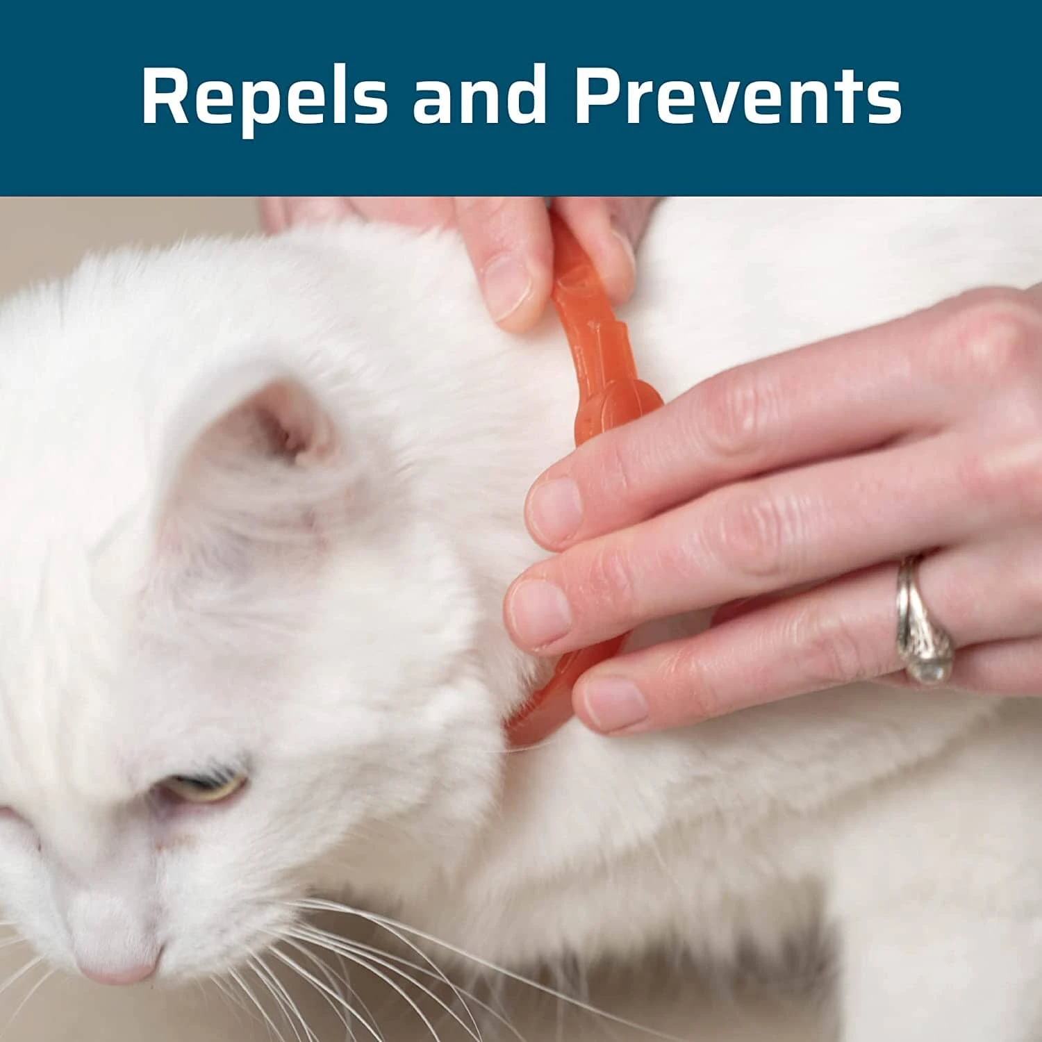 Wondercide Flea & Tick Collar For Cats - Peppermint 3 Wondercide Flea & Tick Collar For Cats - Peppermint - Image 2